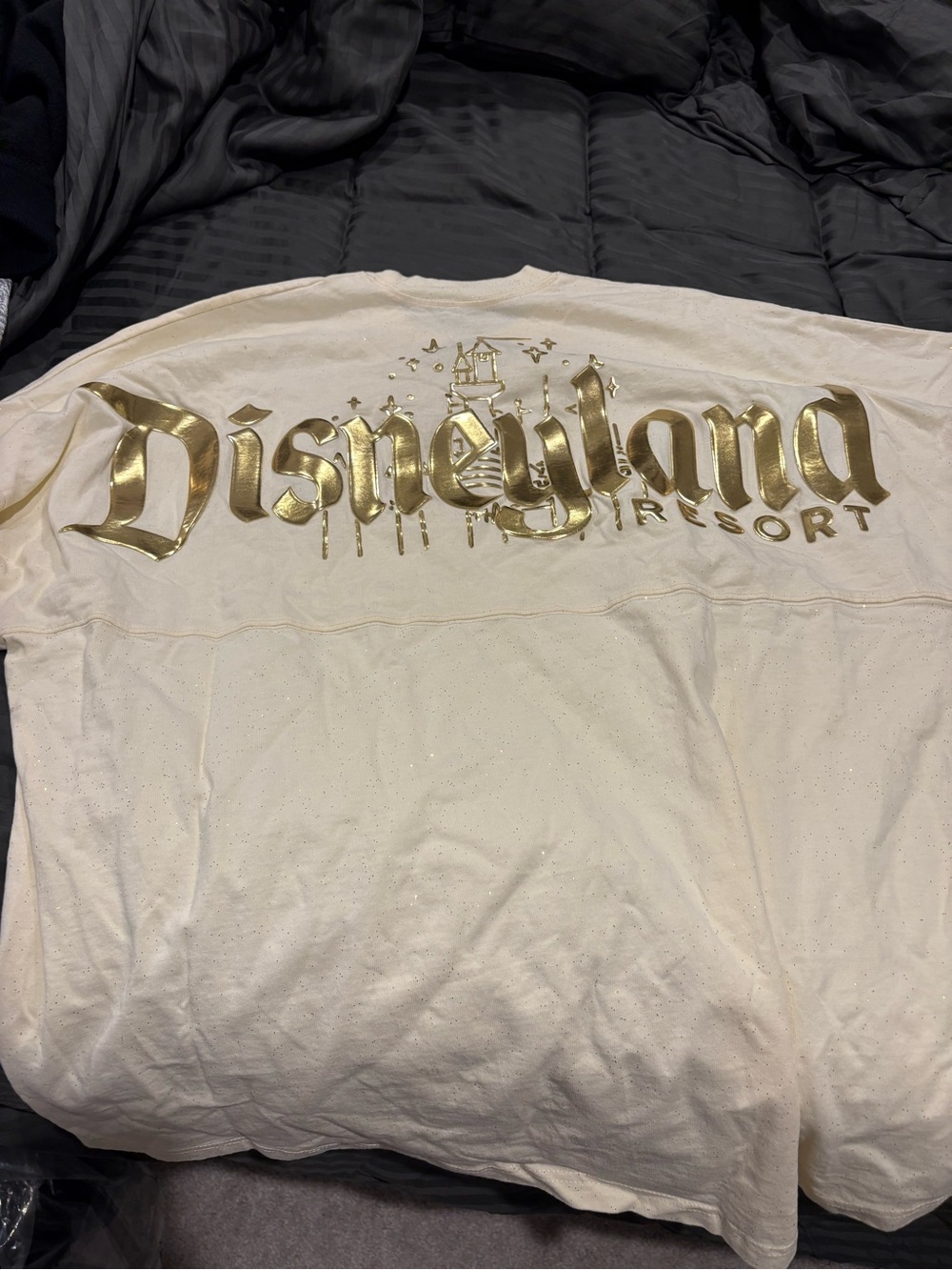 NWOT - Disney Spirit Shirt